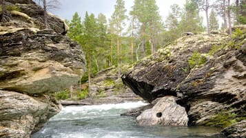 Ecoturisme
