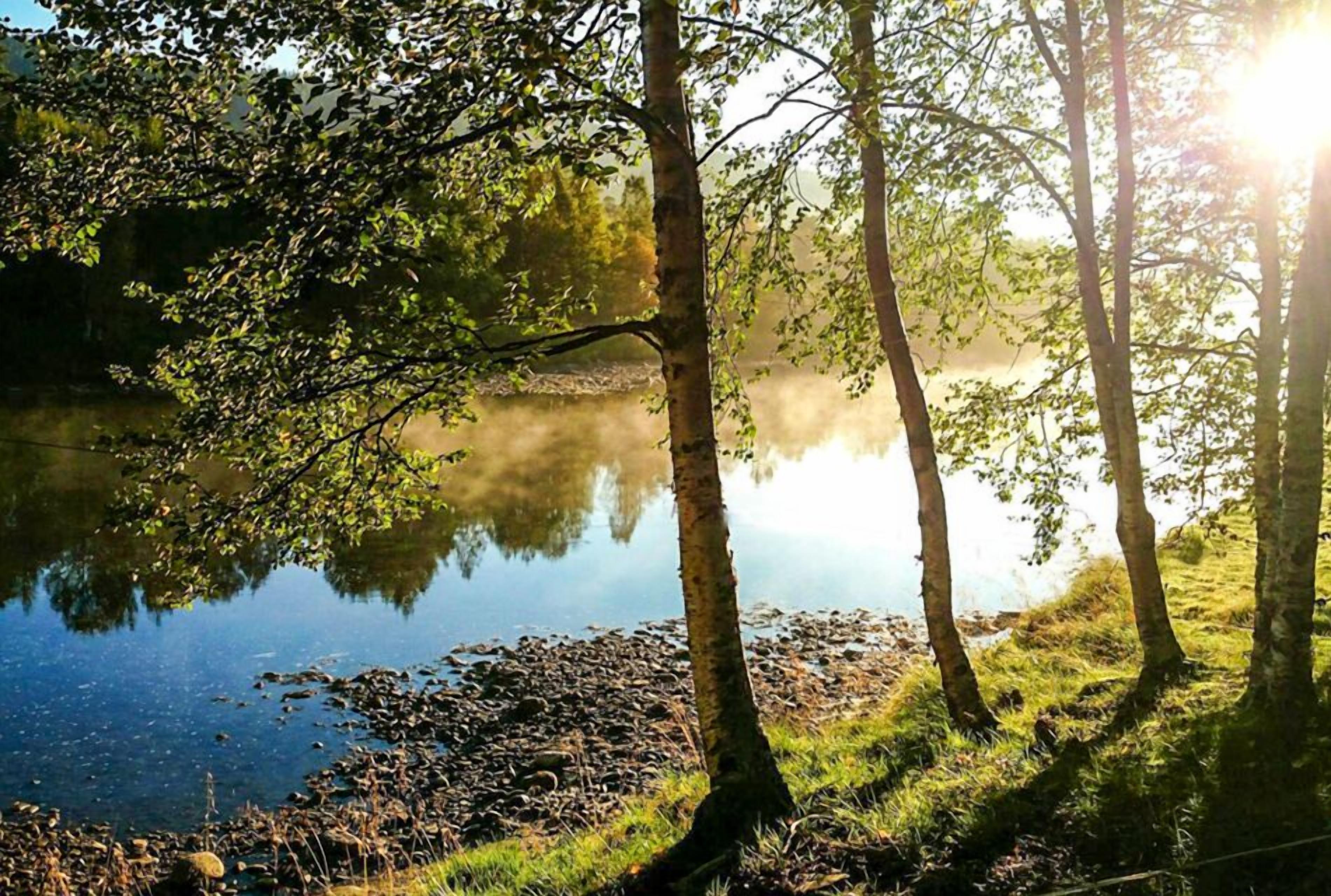 A serene lakeside scene with trees and a calm body of water.