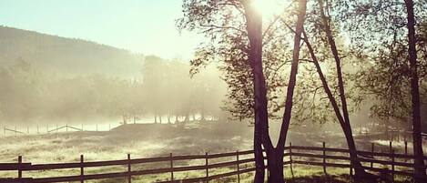 A rural landscape with a wooden fence, trees, and a hill in the background.