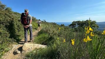 Hiking