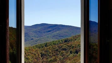 Chambre Double ou avec lits jumeaux | Vue de la chambre