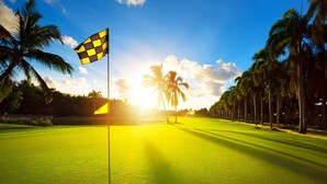 Un campo de golf con una bandera, palmeras y un cielo despejado.