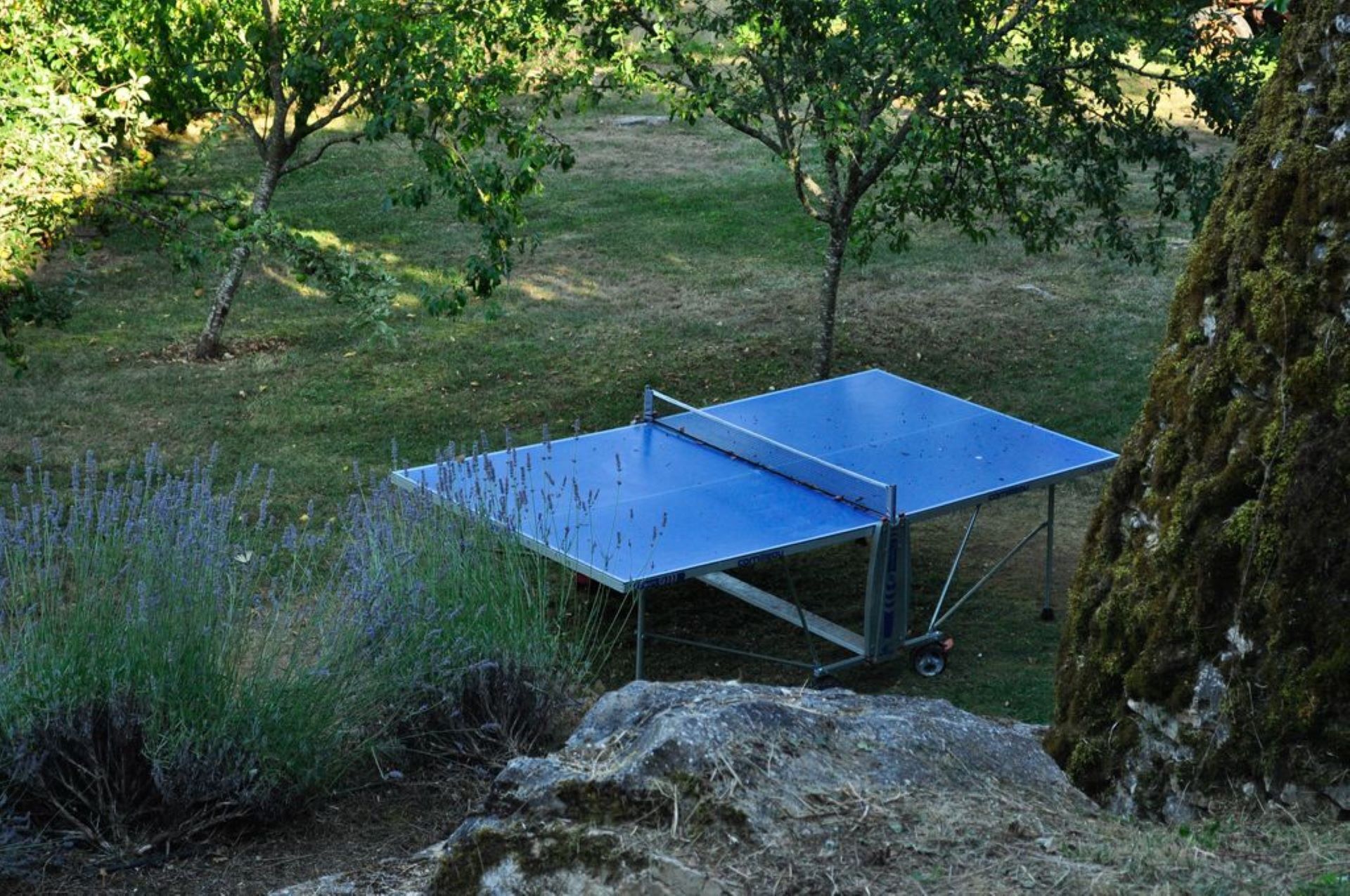 Ein Pingpongtisch in einer Grünanlage mit Gras und Bäumen.