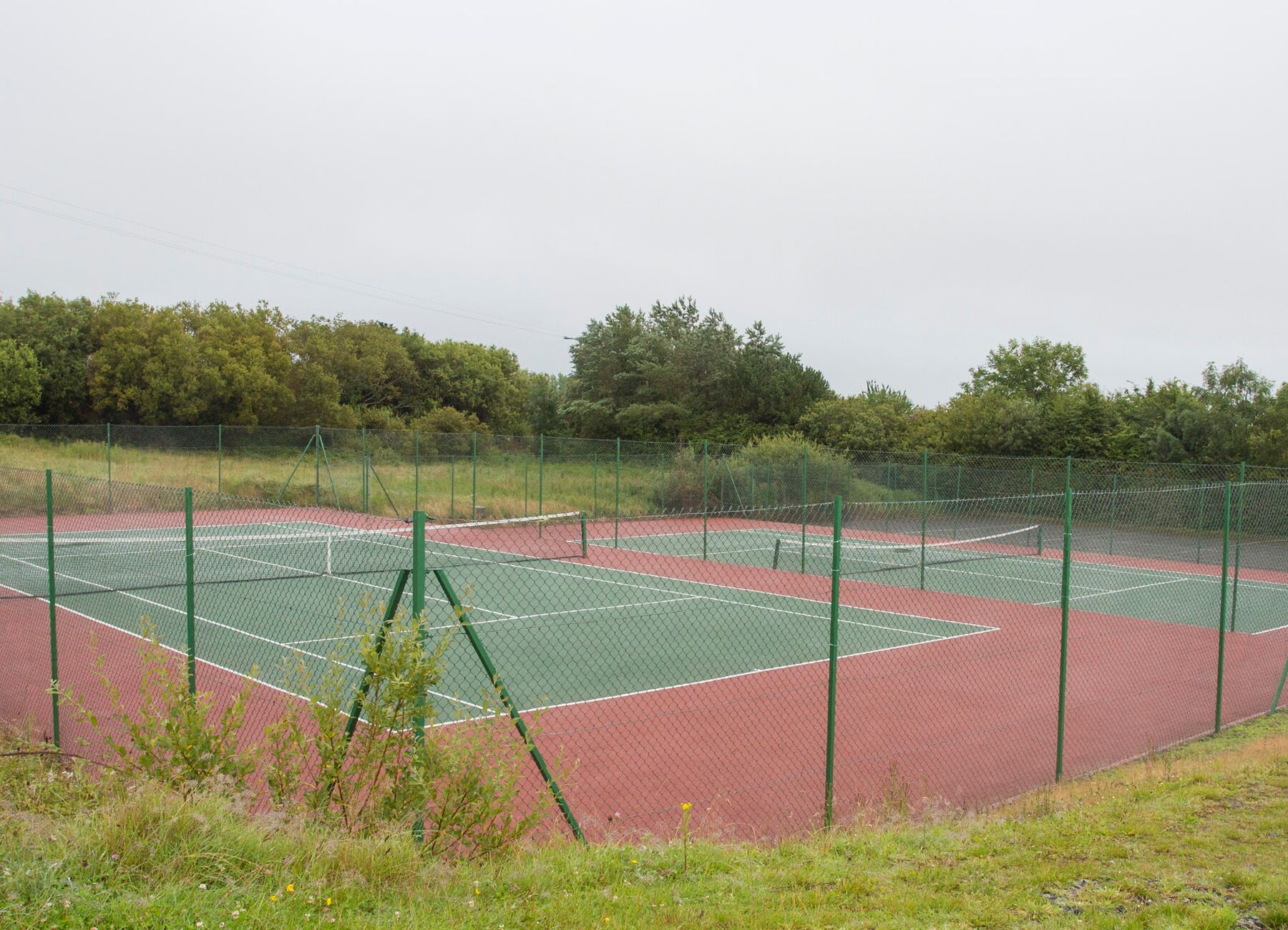 Una cancha de tenis con una valla verde y árboles al fondo.