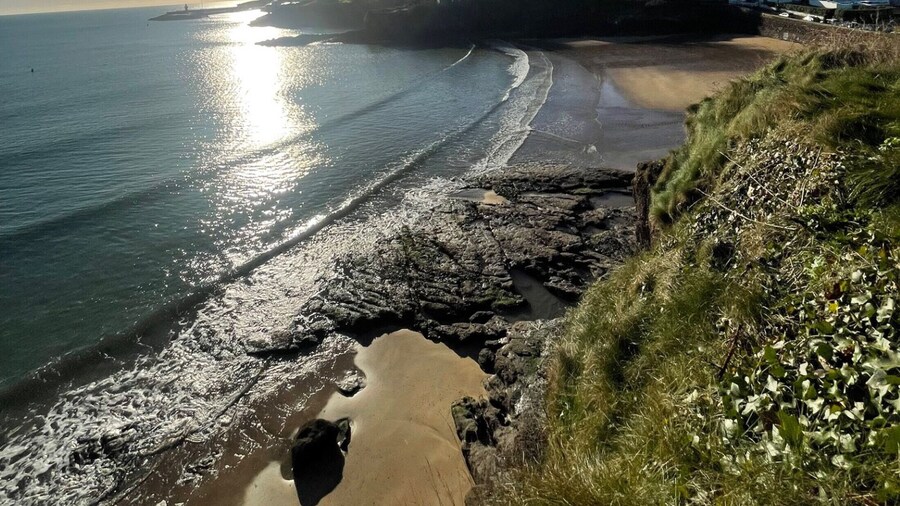 Seacliff Holiday Homes