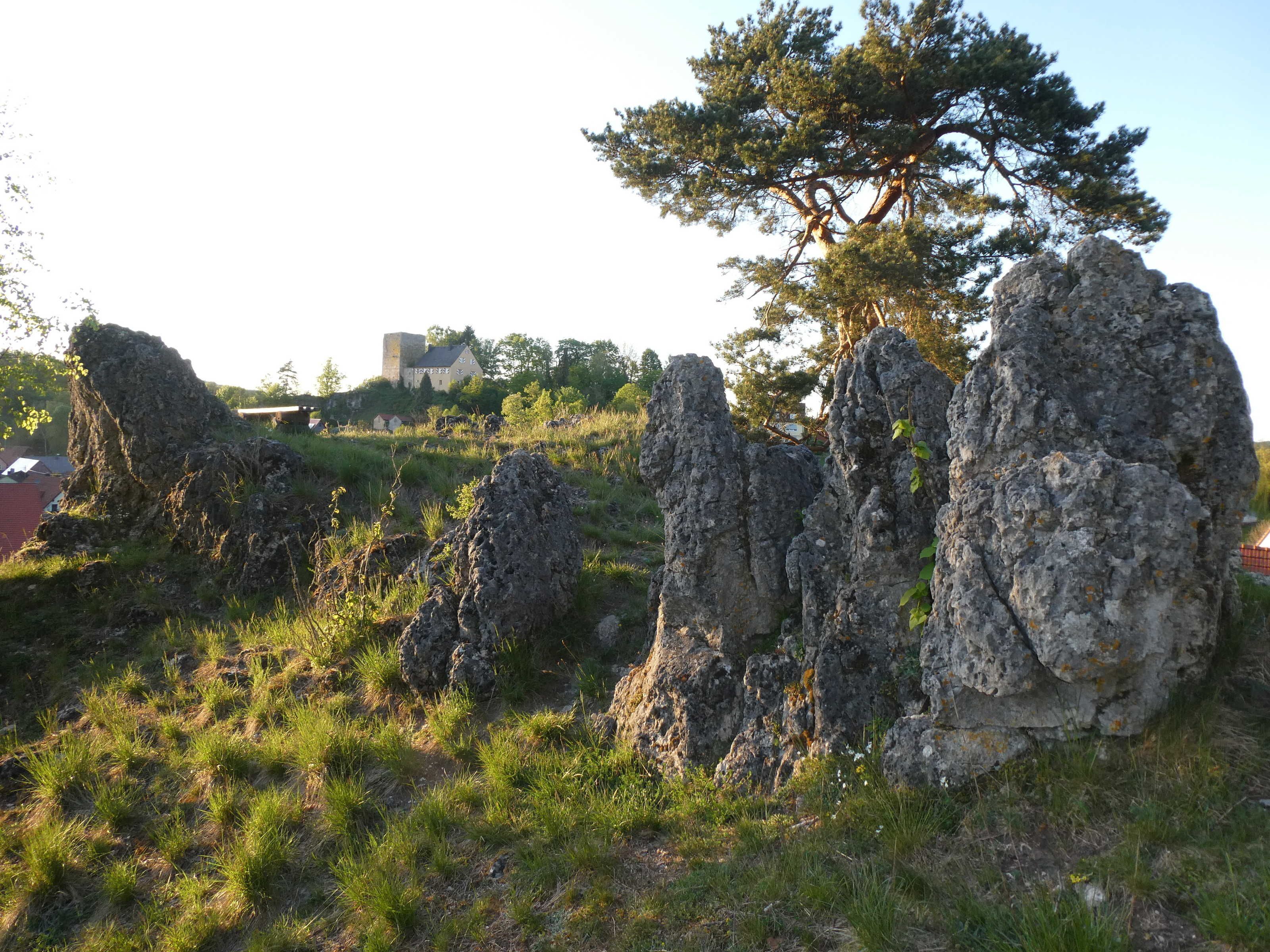 Luonnonmaisema, jossa on kallioita ja yksi puu.