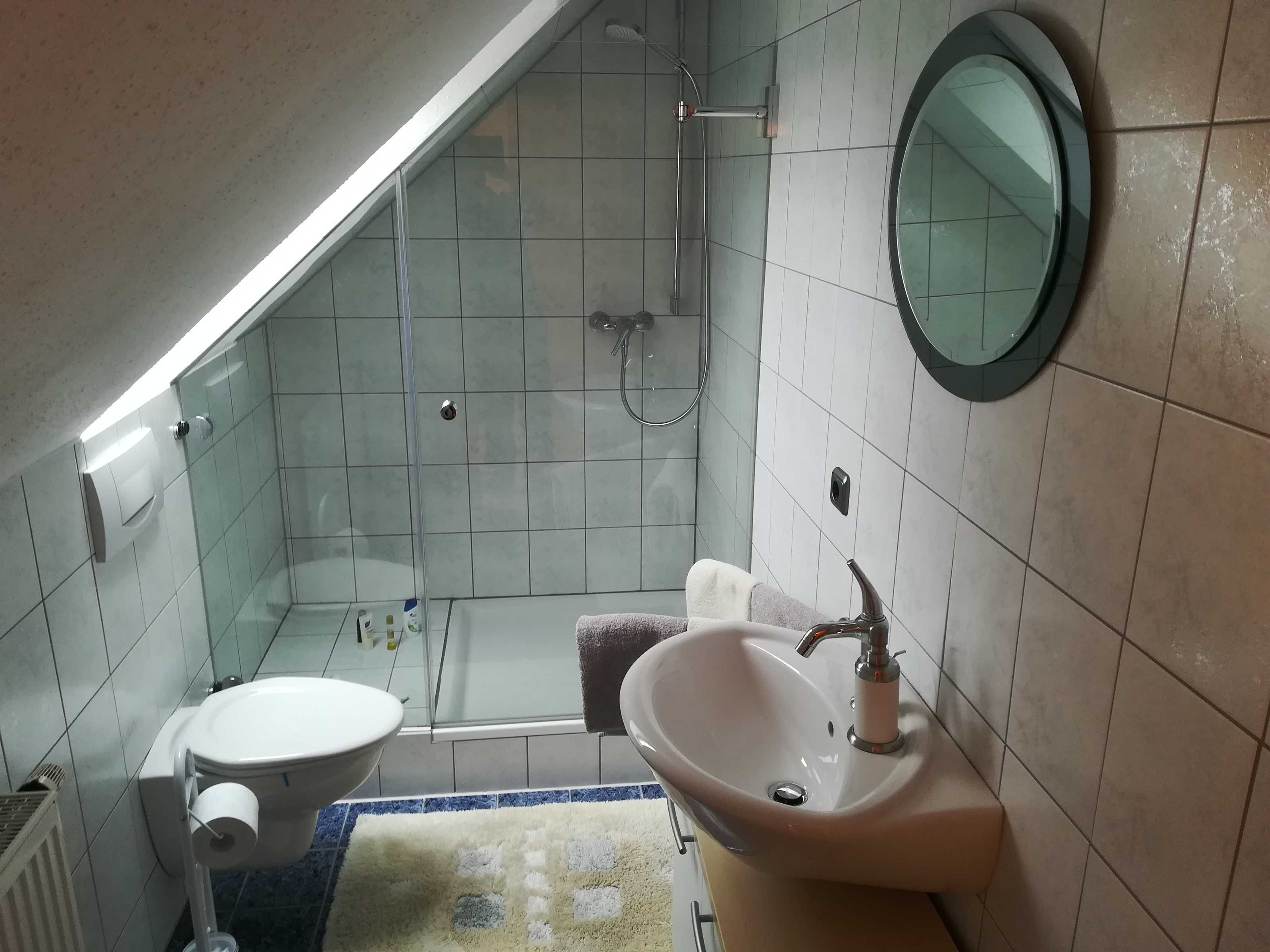 Een badkamer met toilet, wastafel en douche.