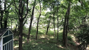 A forested area with a small shed. - WELCOME TO HARBOR HOUSE!  STEP BACK IN TIME AND RELAX AT THE BEACH... (Holland)