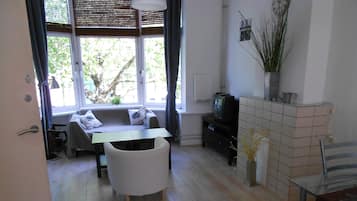 TV connectée, cheminée, lecteur de DVD, vidéothÚque