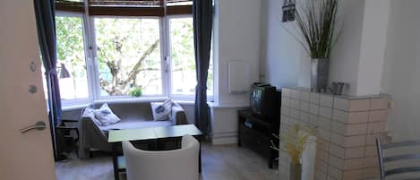 Smart TV, fireplace, DVD player, video library