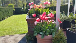 Un giardino con diverse piante e fiori, tra cui tulipani rosa e rossi, e un siepe ben curata sullo sfondo.