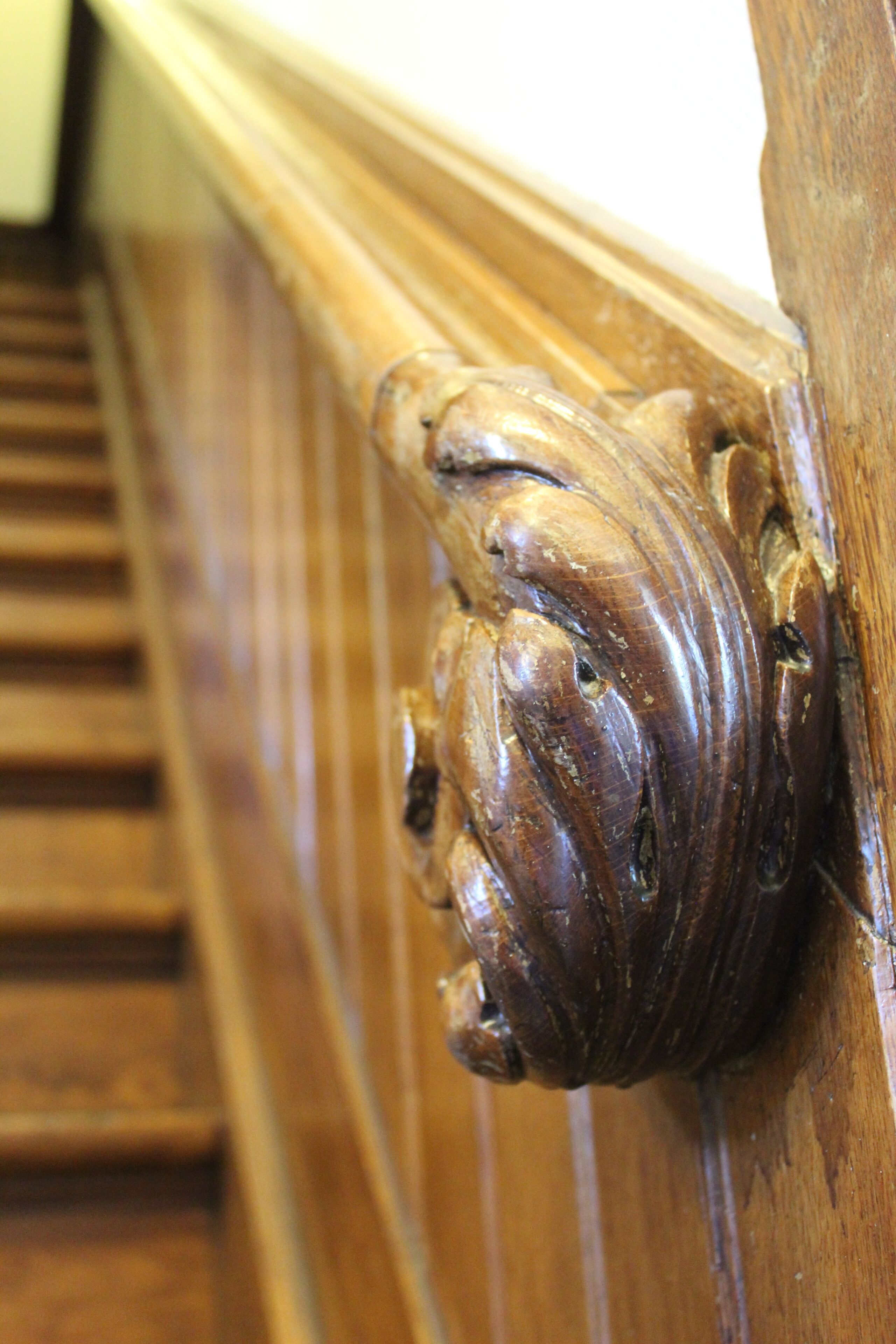 Foto - Polderhuis Bed & Breakfast