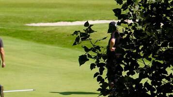 Een golfbaan met een putting green, een zandbunker en een golfer in beweging.