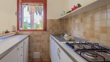 Fridge, stovetop, cookware/dishes/utensils