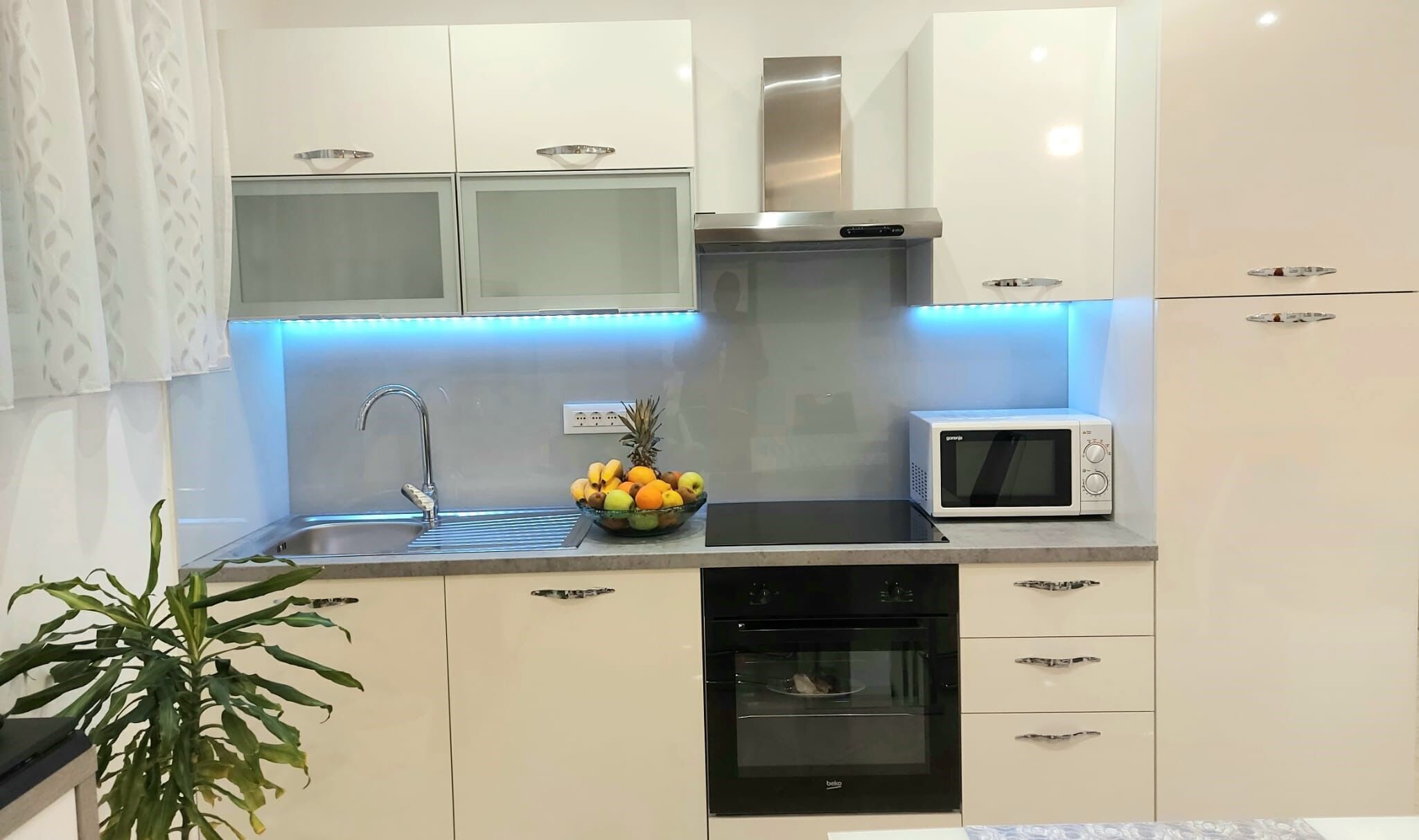 Apartment (A2) | Private kitchen | Fridge, microwave, oven, stovetop