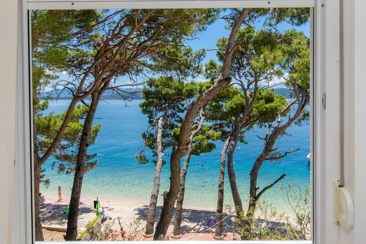 A view of a beach with clear water, trees, and a distant mountain.