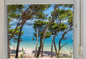 A view of a beach with clear water, trees, and a distant mountain.
