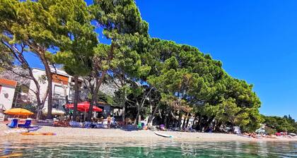 Apartment and Rooms Pansion Duba