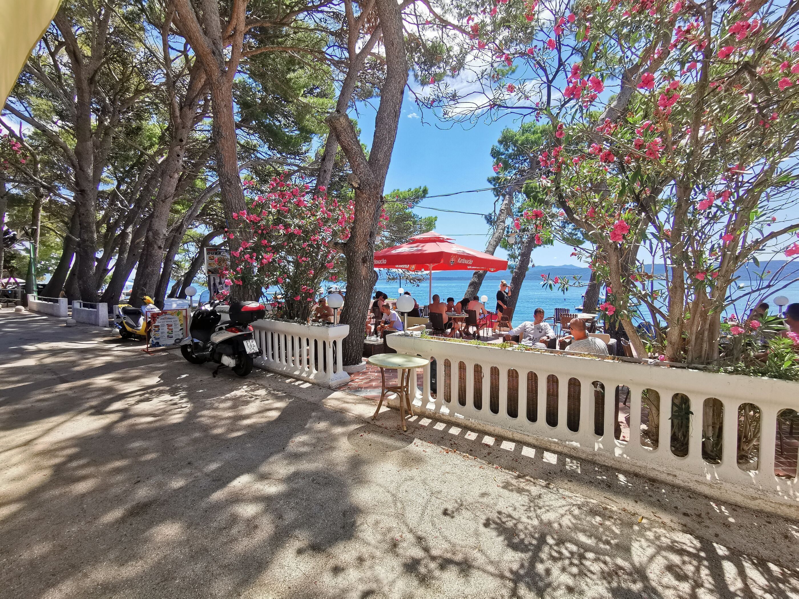 Overnattingsstedets uteområder