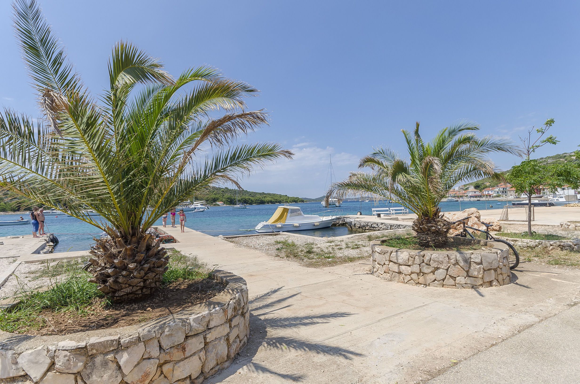 A coastal walkway with palm trees, a marina with boats, and a clear blue sky.