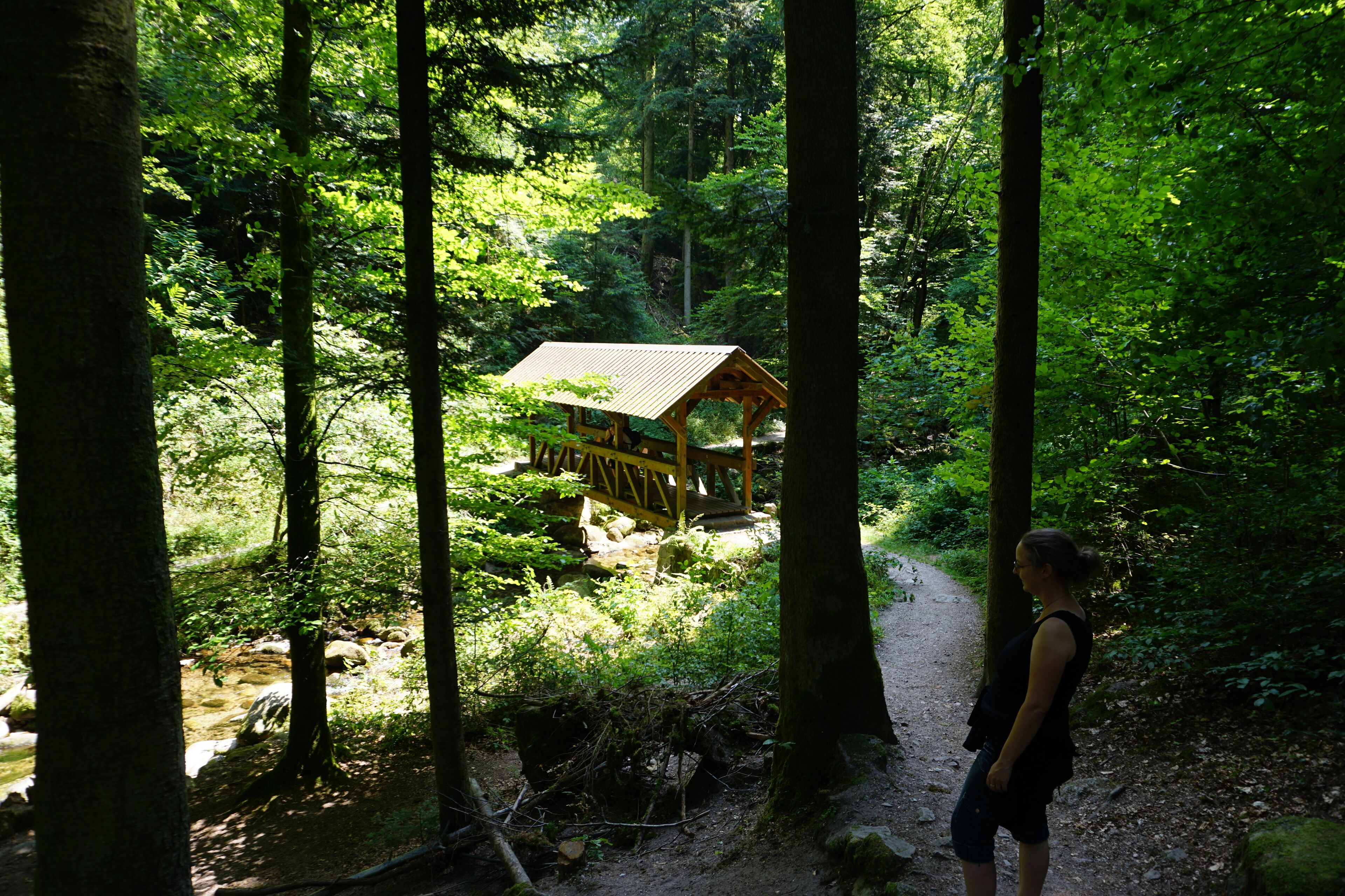 Ein bewaldetes Gebiet mit einer Holzhütte, möglicherweise, auf einem Feldweg.
