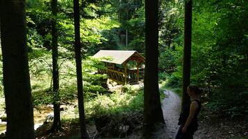 Ein bewaldetes Gebiet mit einer Holzhütte, möglicherweise, auf einem Feldweg.