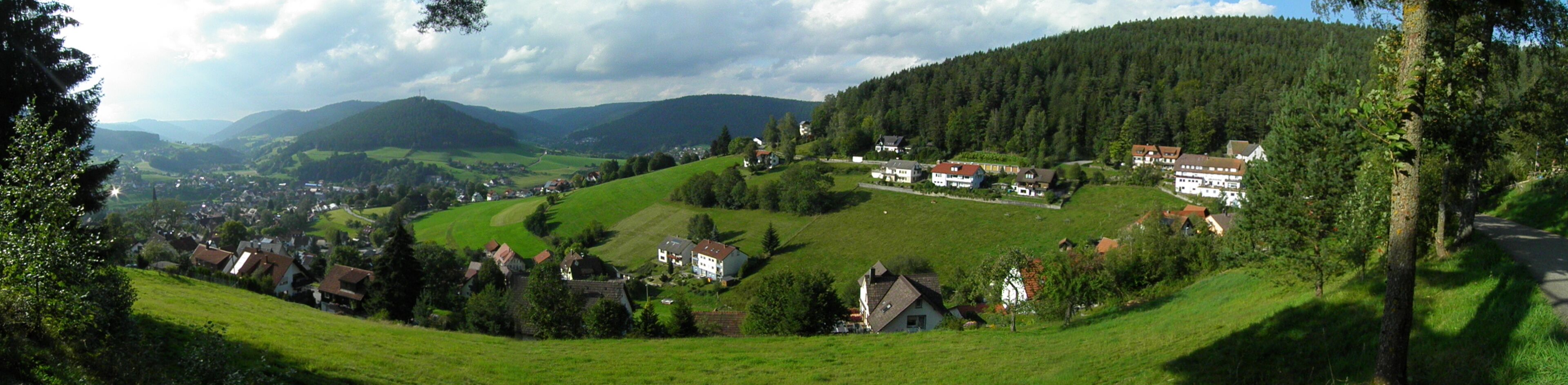A rural village with houses on rolling hills, surrounded by forests and mountains.