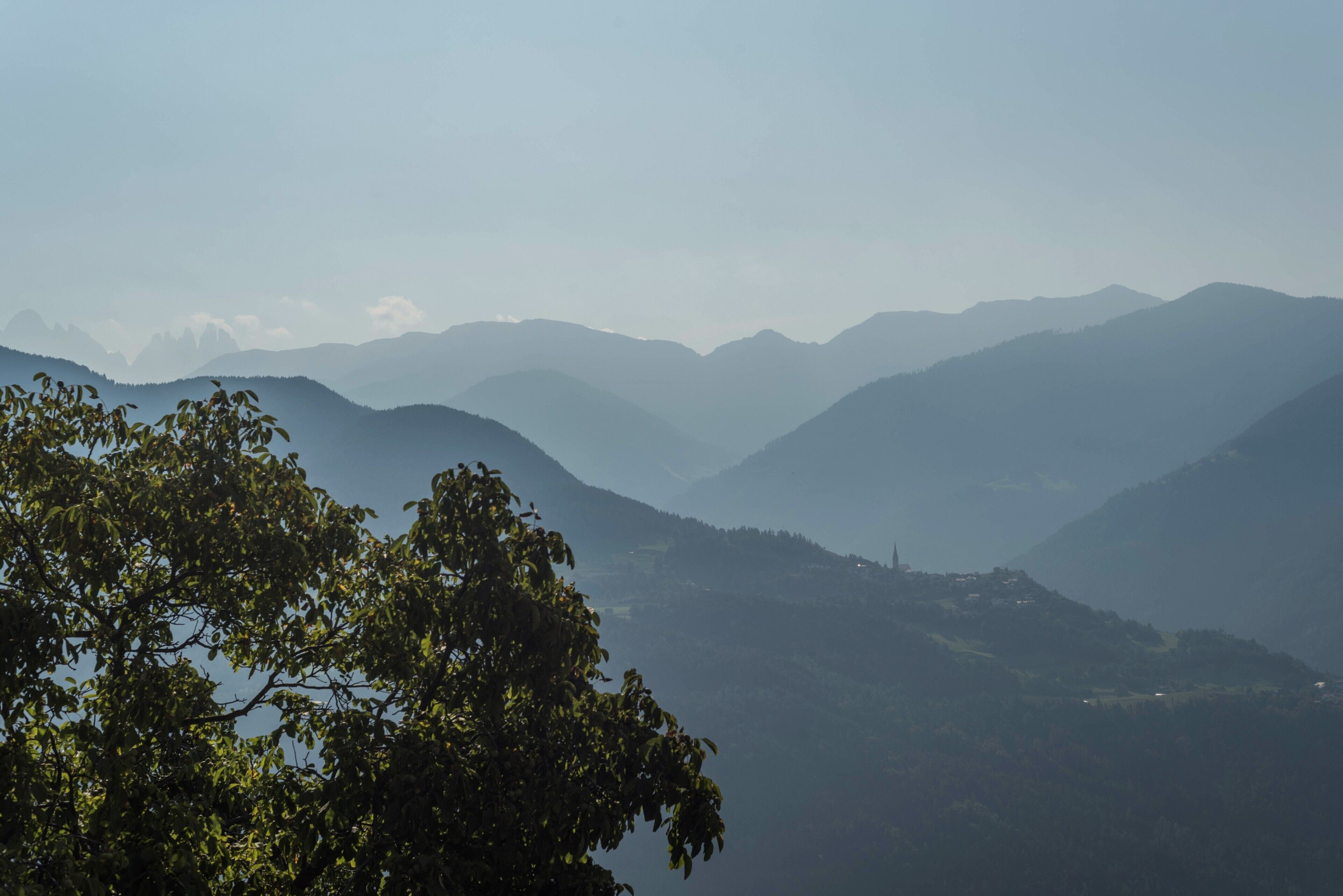 A mountainous landscape with dense tree coverage in the foreground.