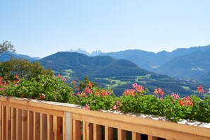 Property grounds - Holiday Apartment “Rafaser - Albina” with Mountain View & Wi-Fi (Feldthurns)