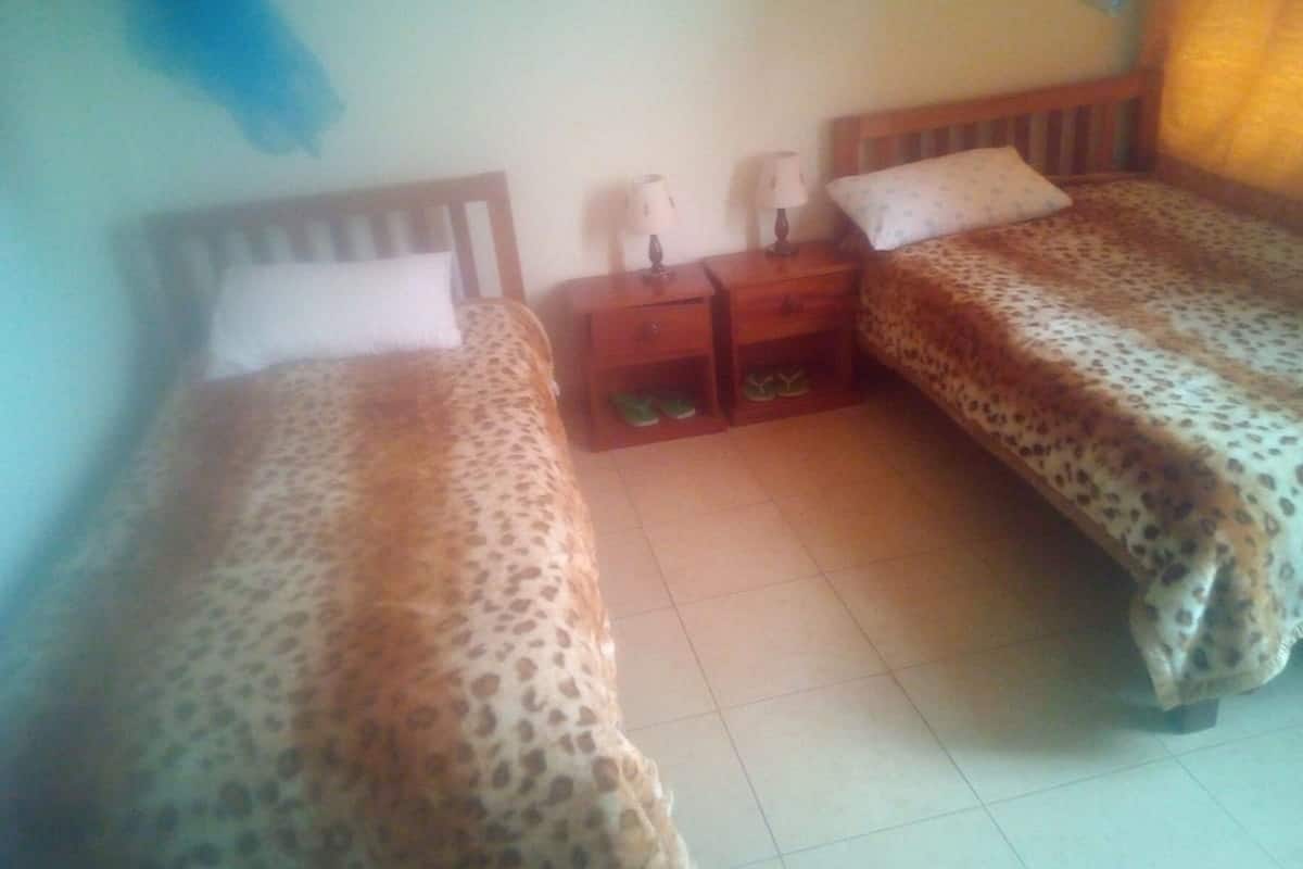 Double or Twin Room | Desk, free WiFi, bed sheets