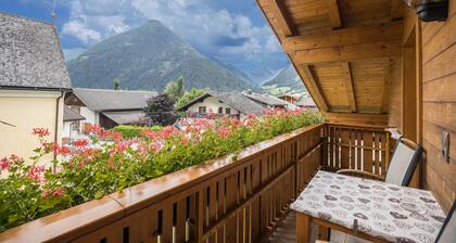 Appartement confortable "Arnika - Mesnerhof" avec vue montagne, Wi-Fi, balcon et jardin