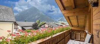 Cozy Apartment "Arnika - Mesnerhof" with Mountain View, Wi-Fi, Balcony & Garden