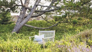 A bench in a natural setting with dense vegetation and trees. - Uhlenhof E from A&M - Uhlenhof E (Kampen (Sylt))