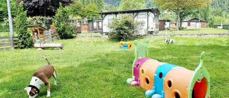 A grassy outdoor area with a dog, a colorful play structure, and a building in the background.