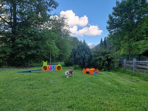 A grassy outdoor area with a dog, play structures, and a wooden fence.