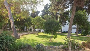 Ein angelegter Garten mit Bäumen, Rasen und Steinen.