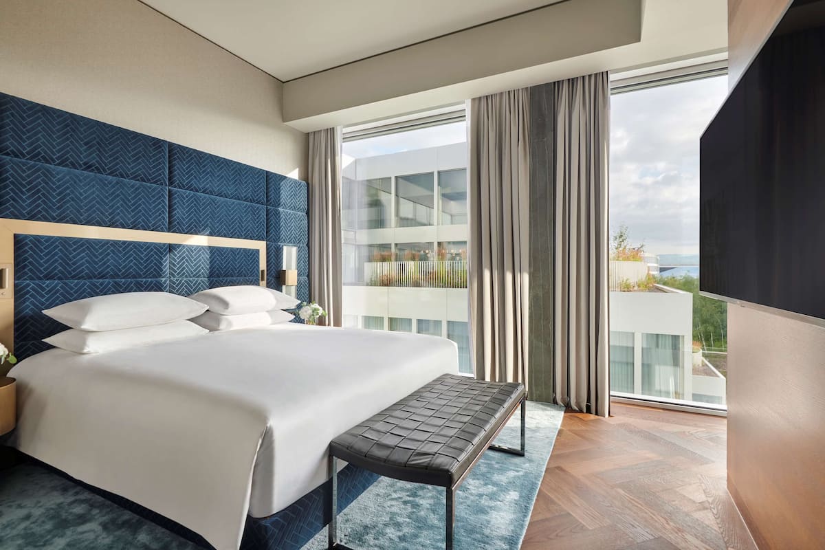 suite, 1 king bed (regency) | 1 bedroom, hypo-allergenic bedding, minibar, in-room safe