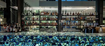 Hyatt Regency Zurich Airport The Circle