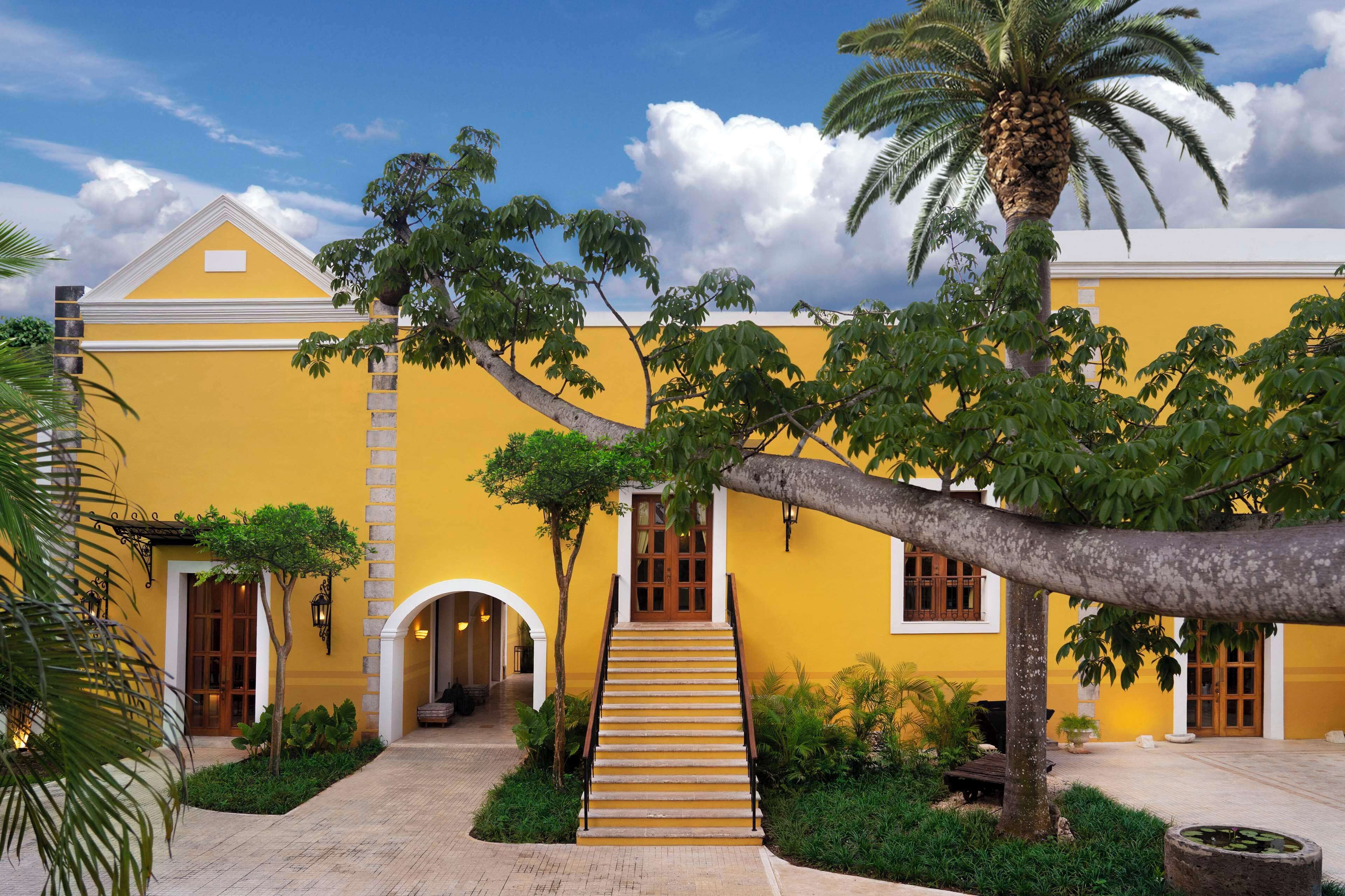 A yellow building with a staircase leading to a door, surrounded by greenery and a palm tree.