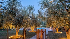 A garden with olive trees and a pool. - Apartment in farmhouse, Girasole 6+1, Volterra area, San Gimignano, Pisa (Montelopio di Peccioli)