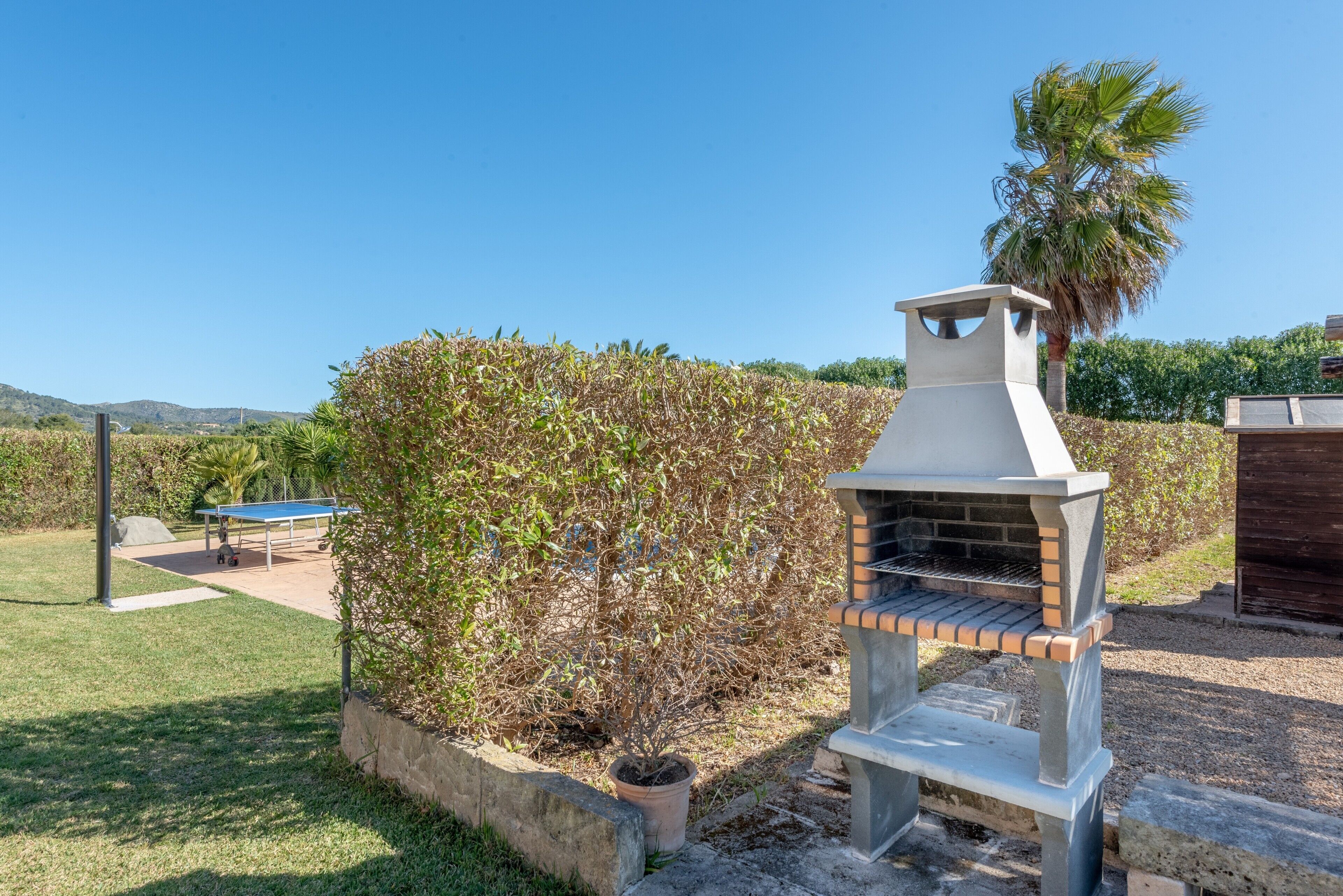 A barbecue grill, a ping pong table, and a palm tree in a garden setting.