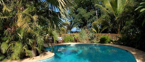 Outdoor pool, sun loungers