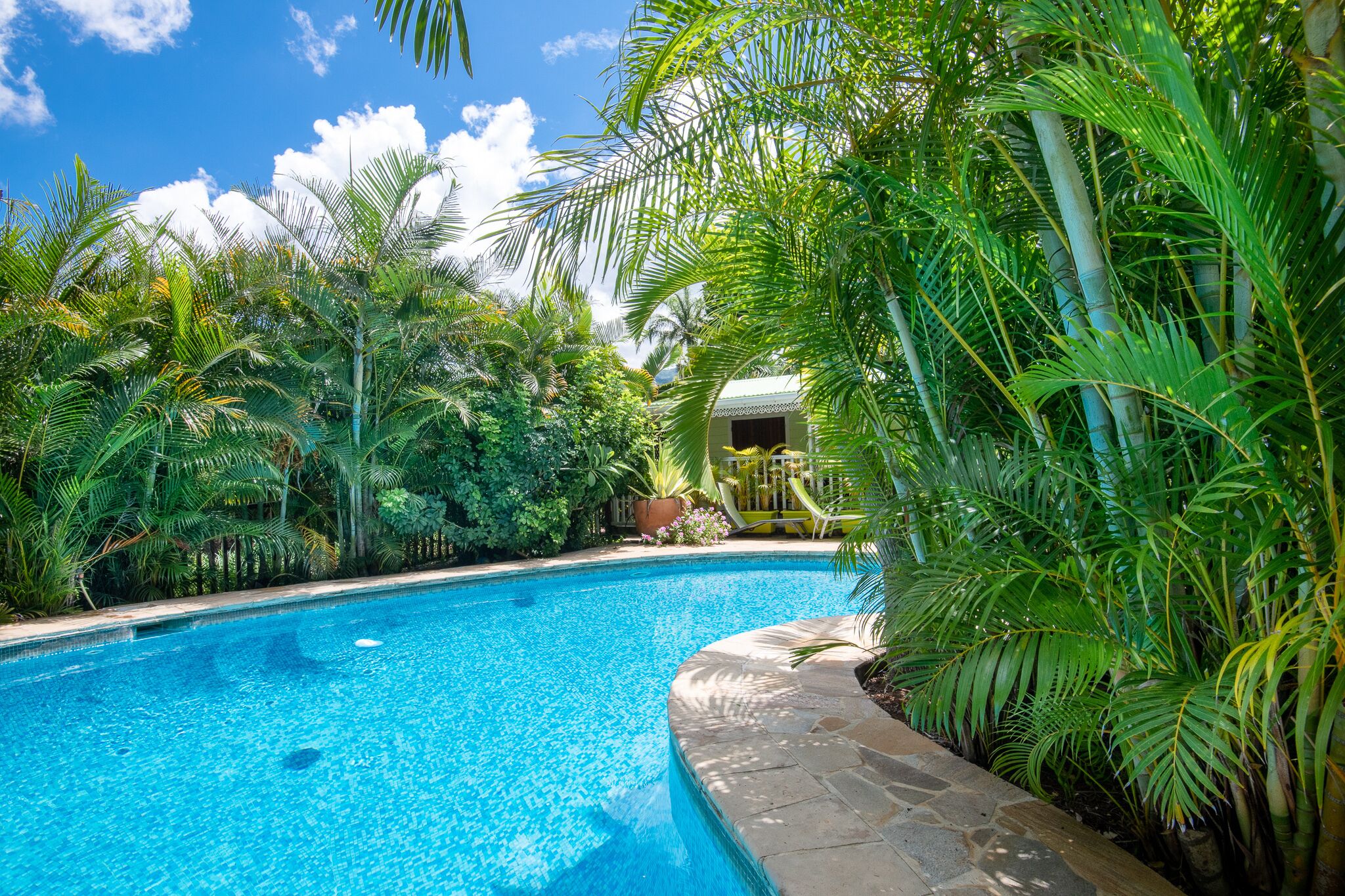 Een buitenzwembad en ligstoelen