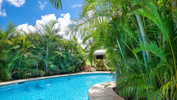 A swimming pool surrounded by lush tropical plants and a traditional building in the background. - Baobab Et Palmiers (L'Étang-Salé)