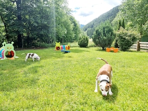 Un'area verde con erba, un cane, un tunnel gioco e una recinzione in legno.