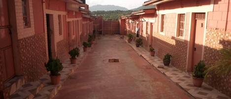 A corridor with potted plants on either side, leading to a gate.