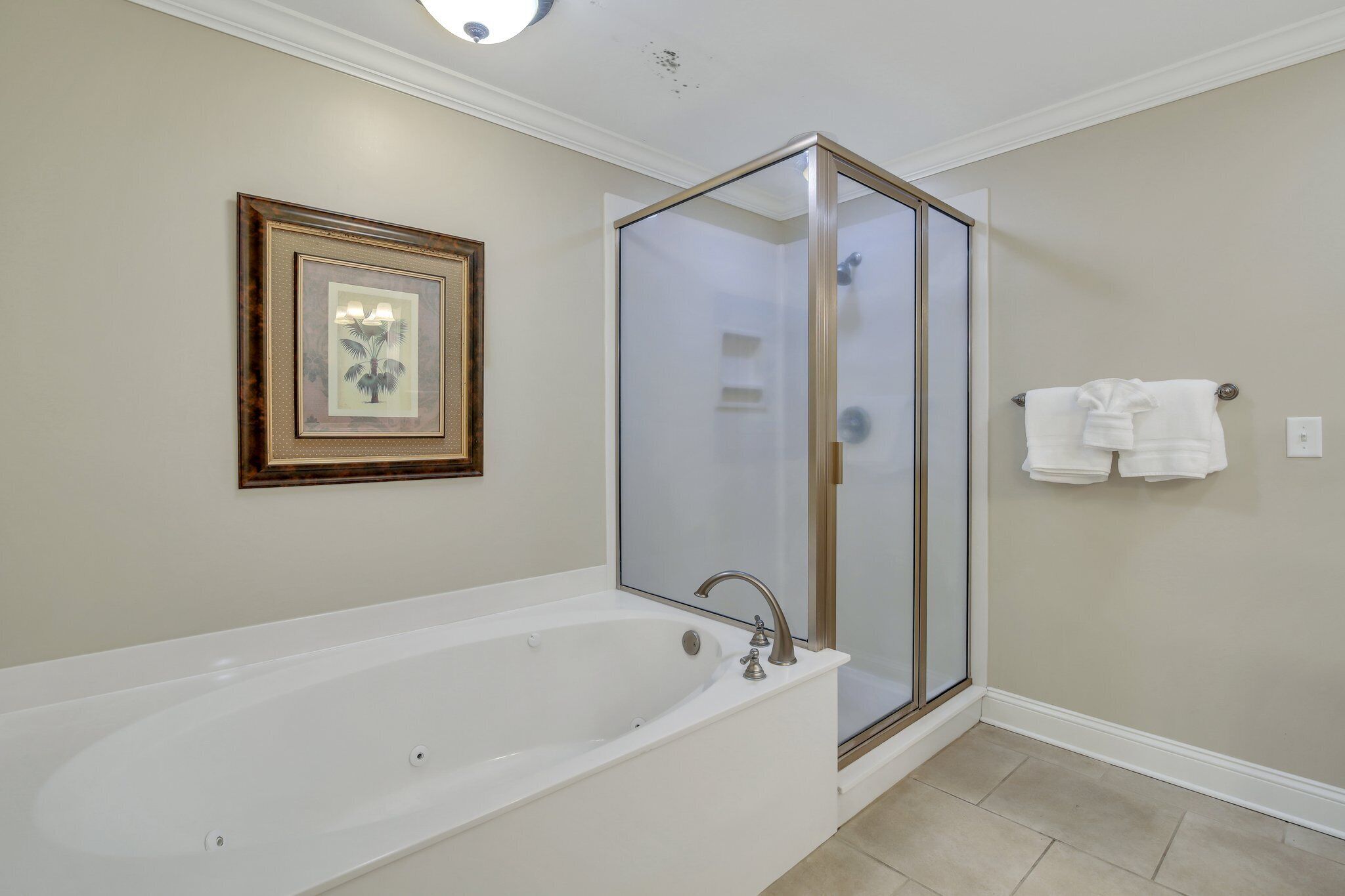 Combined shower/tub, hair dryer, towels