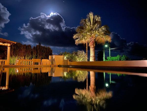 A nighttime pool area with a palm tree, a clear sky, and a reflection in the water.