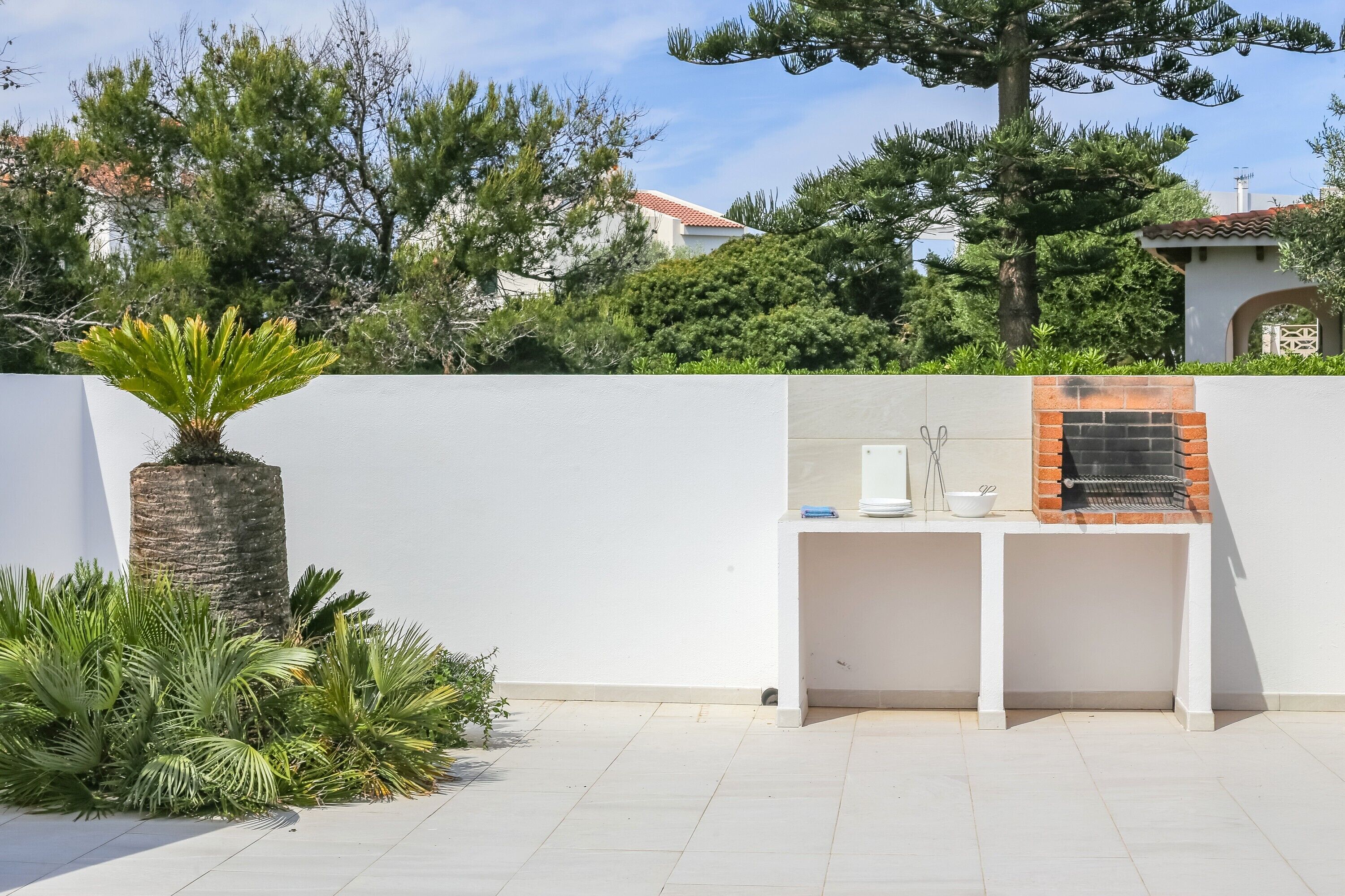 A patio area with a white wall, a brick oven, and various plants.