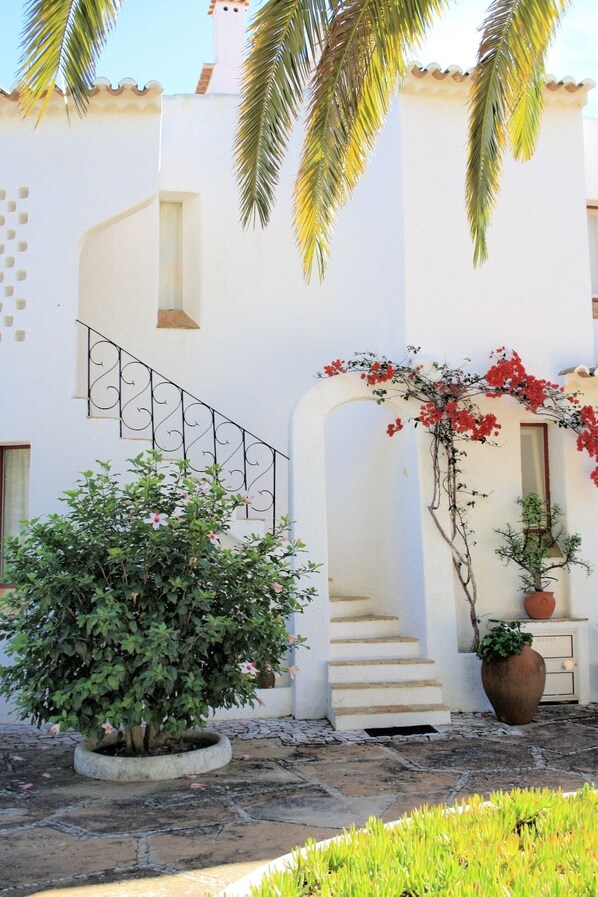 A white building with a staircase, a palm tree, and a potted plant.